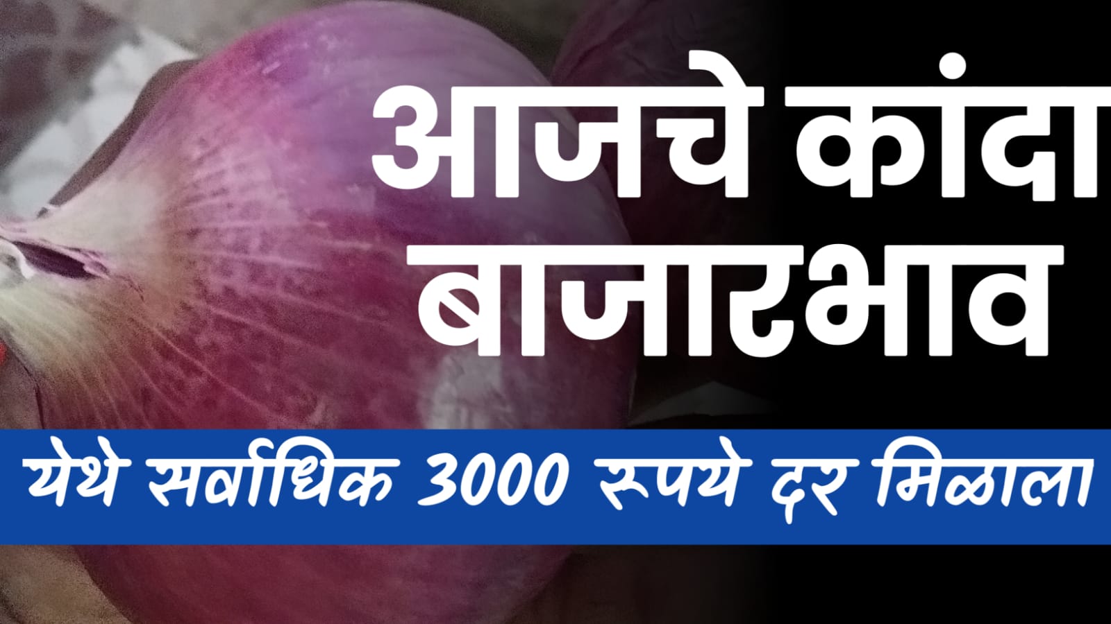 Onion rate