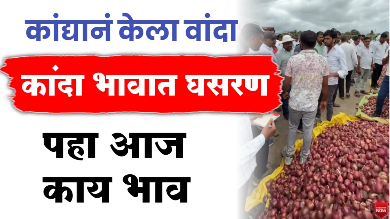Onion rate