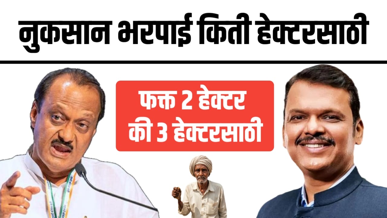नुकसान भरपाई दोन