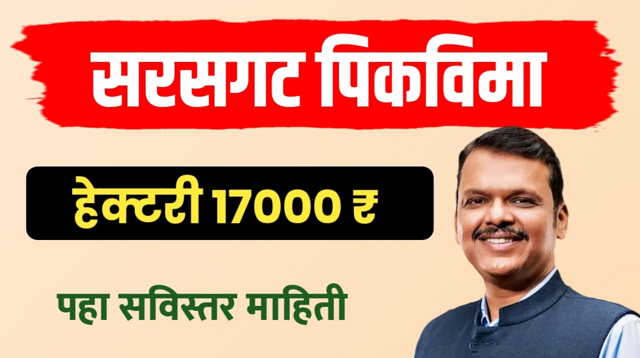 हेक्टरी १७,००० रु. सरसकट