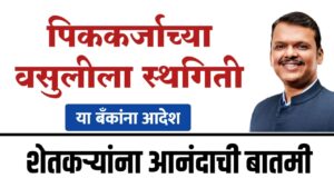 Corp loan : पिककर्ज वसुलीला स्थगिती, मोठा निर्णय…पहा कधीपर्यंत ?